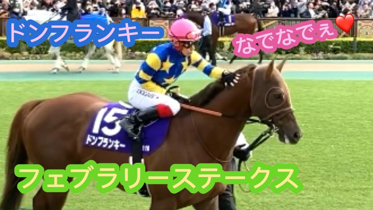 フェブラリーステークス　ドンフランキー　池添騎手からたくさんのなでなで　東京競馬場