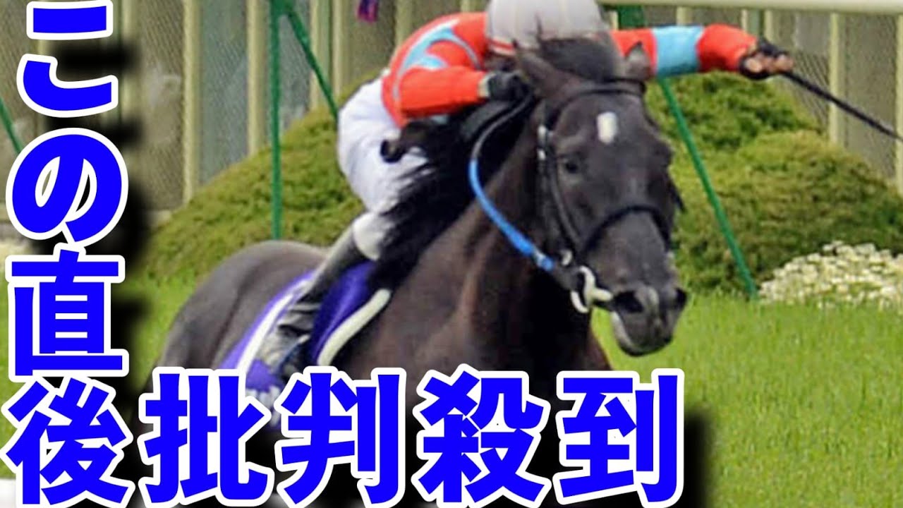 ビートブラック急死骨盤を骨折white cat管理した中村均元調教師「非常に残念です」１２年天皇賞・春を制覇white cat
