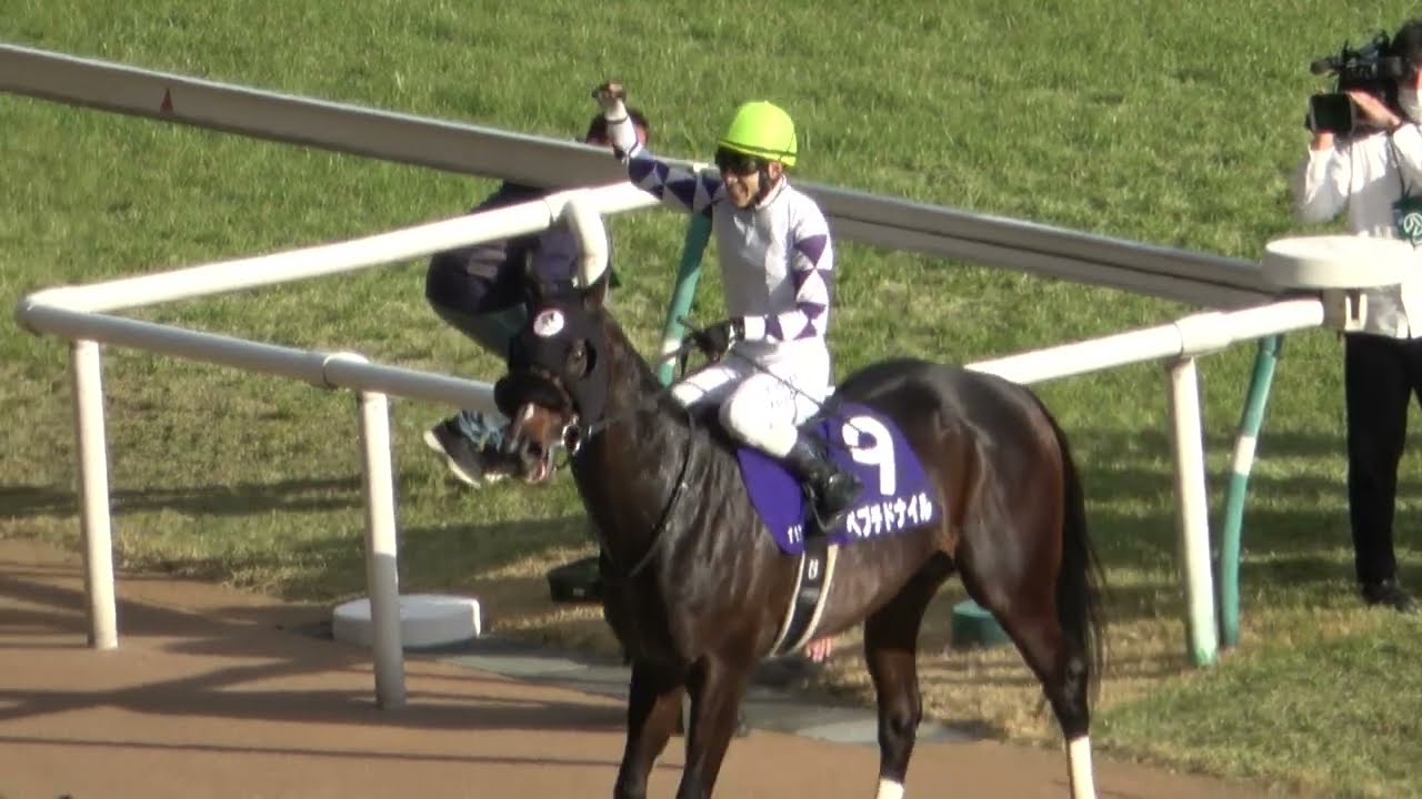 【フェブラリーステークス2024】11番人気を覆して初重賞・初GⅠ勝利‼ペプチドナイル ウィニングラン 現地映像