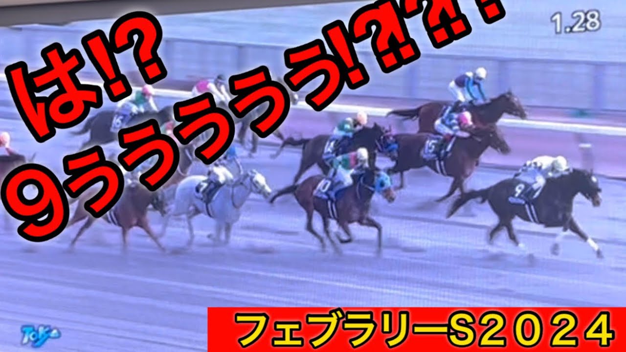 【フェブラリーステークス2024】 WINSに悲鳴の嵐が轟いた日【ペプチドナイル】