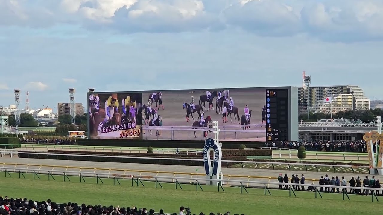第41回フェブラリーステークス2024