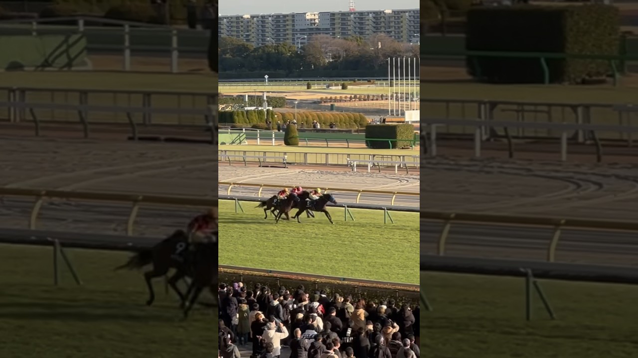 【ジャパンカップベストレース記念】シュトルーヴェ 現地 最終直線