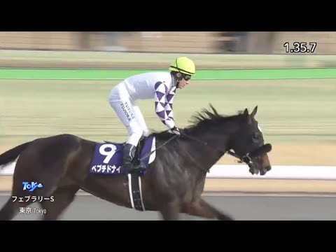 2024年JRA GⅠフェブラリーS