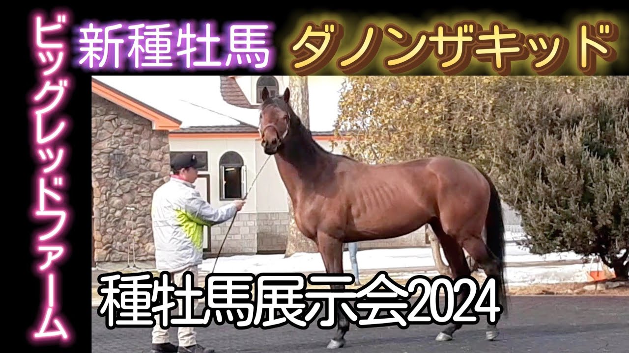 ダノンザキッド ビッグレッドファーム 種牡馬展示会2024