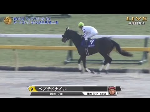 2024年 フェブラリーステークス (GI) 本馬場入場【ペプチドナイル】