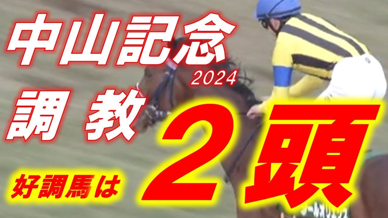 中山記念2024　追い切り診断‼　ソールオリエンスの復活はあるのか！！！！？？？？　元馬術選手のコラム by アラシ