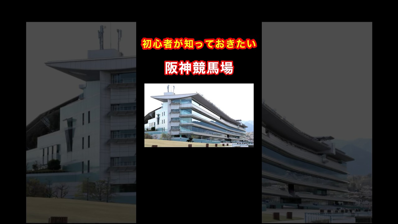 【初心者が知っておきたい阪神競馬場】#競馬 #阪神競馬場 #競馬予想