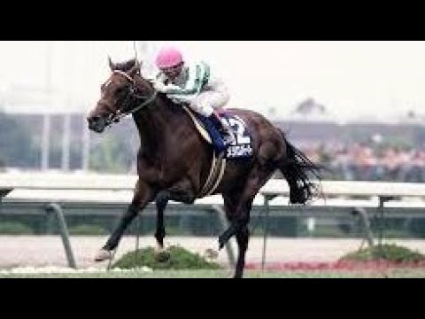 第33回　宝塚記念（ＧⅠ）　メジロパーマー　　牡５　57　山田泰誠　1992.6.14　　出走馬：カミノクレッセ、ミスタースペイン、オースミロッチ、ダイタクヘリオス、バンブージャンボ、ダイユウサク他