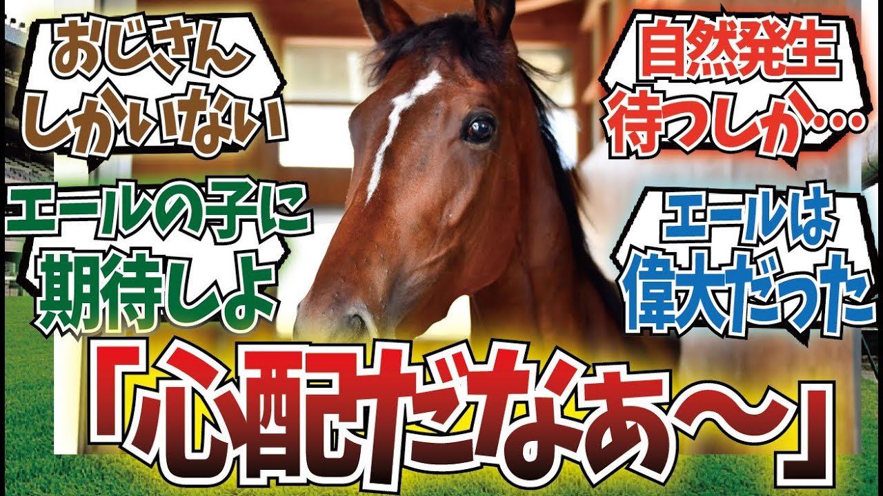 「メイケイエールの引退後がヤバい」に対するみんなの反応集