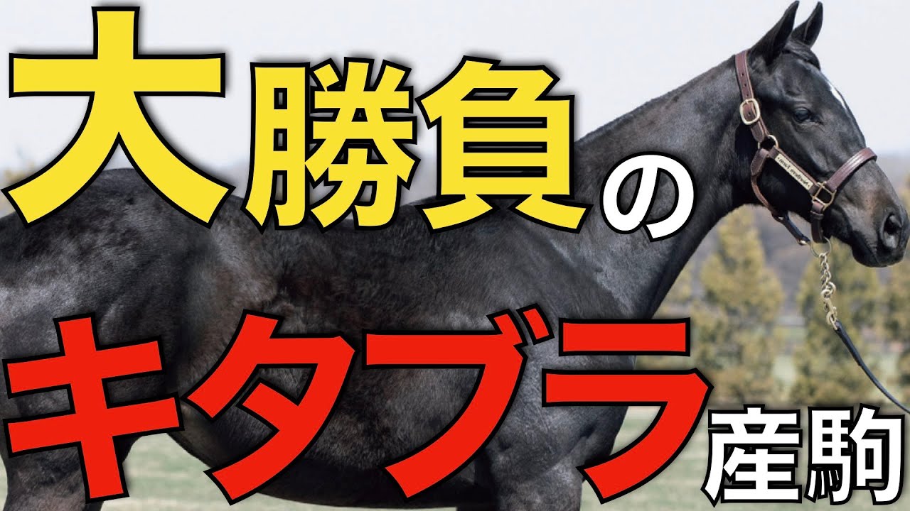 期待のキタサンブラック産駒が勝負の2戦目！ここを勝ってクラシック戦線に乗れるか？