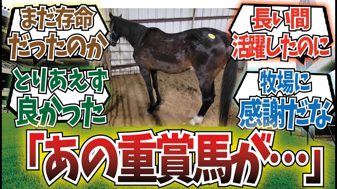 「処分寸前で保護」に対するみんなの反応集