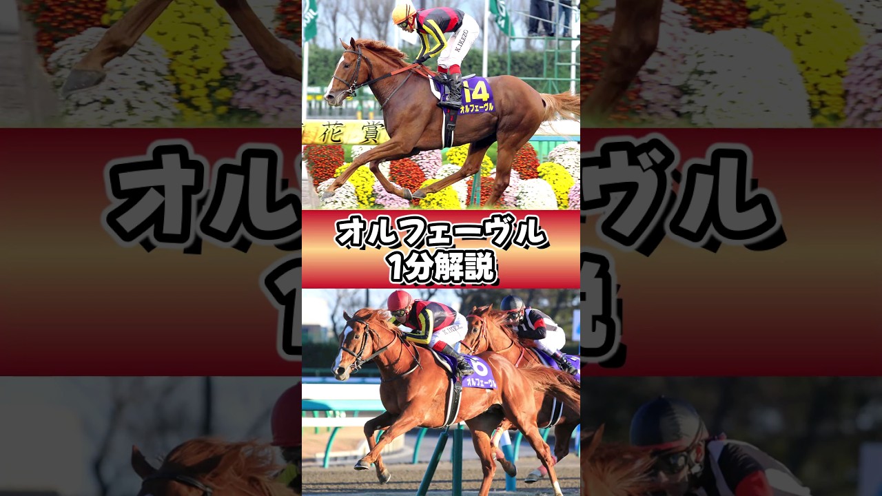 僕がオルフェを信じないでどうする #オルフェーヴル #1分解説 #ウマ娘 #shorts