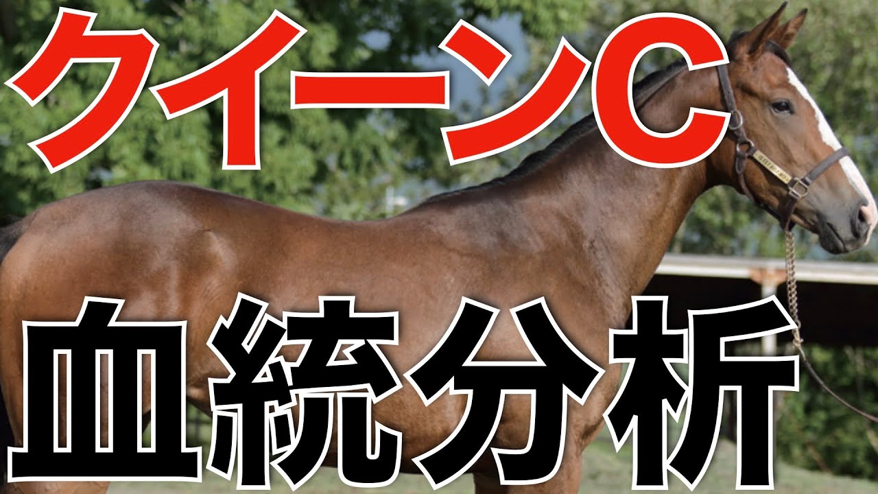 【クイーンC】意外な種牡馬の産駒に注目！可能性を秘めたデータ発見。