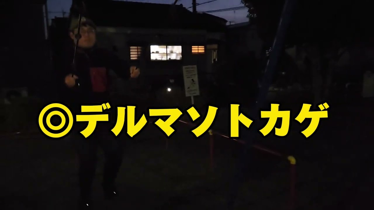 【サウジカップ 2024】直前予想!!ハカセの本命馬は〇〇です。絶対に買うな!!