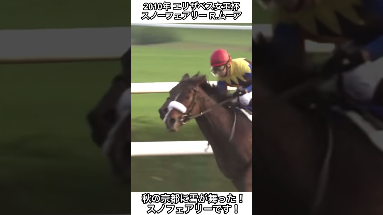 【競馬】秋の京都に雪が舞った！！スノーフェアリーです！#競馬 #エリザベス女王杯 #shorts