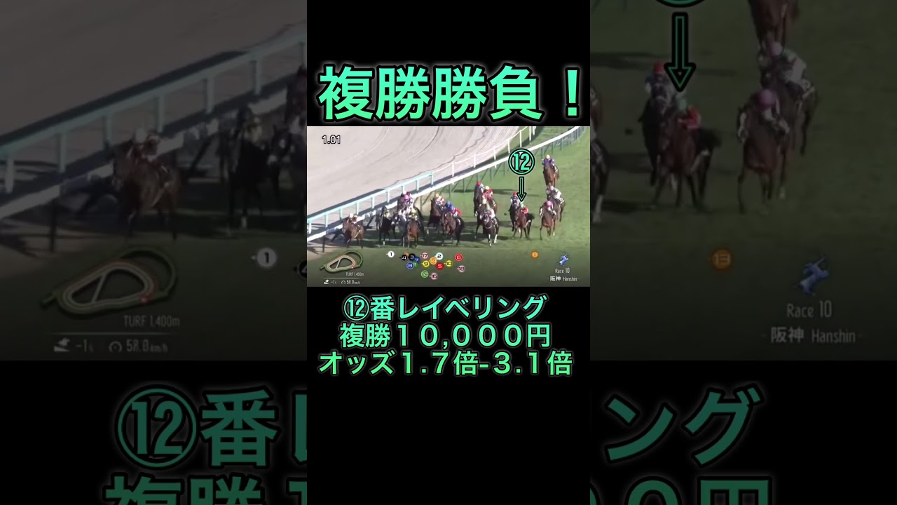 【競馬】馬券勝負！複勝10,000円分買ってみた！ #競馬