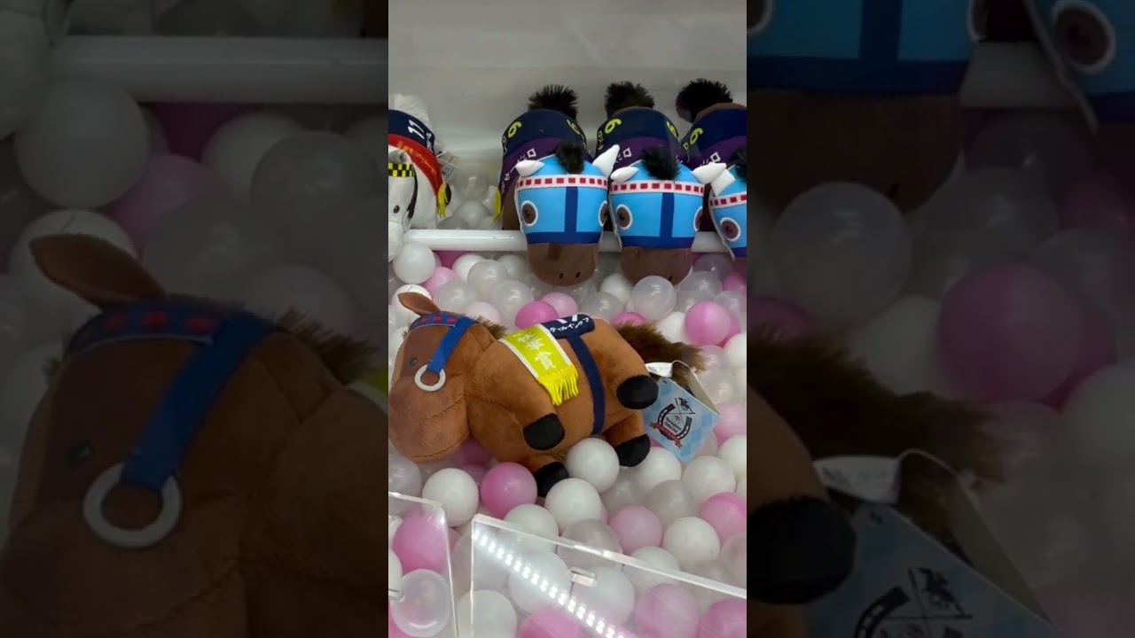 秋華賞スティルインラブ　取れない😭😭😩