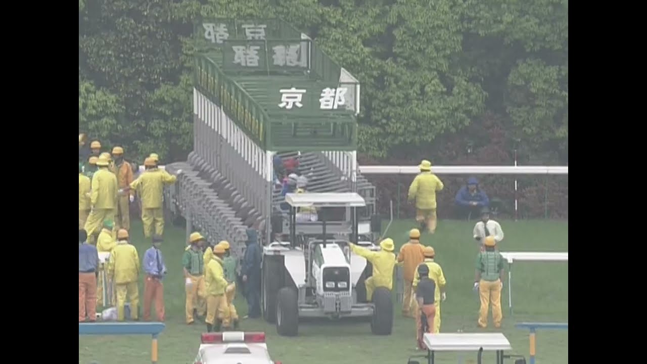 ヒシミラクル 2005年 第131回天皇賞(春)(GI) (優勝馬：スズカマンボ)