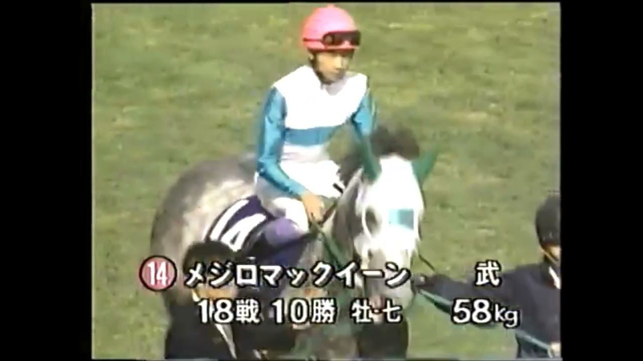 第107回　天皇賞（春）（ＧⅠ）本馬場入場　1993.4.25　出走馬：ライスシャワー、メジロマックイーン、メジロパーマー、マチカネタンホイザ、レットイットビー、アイルトンシンボリ、ムッシュシェクル他