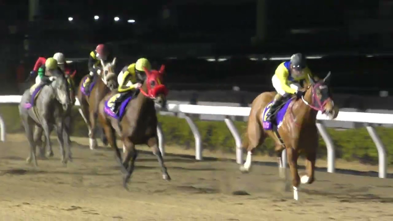 浦和11Rの桜花賞Slトライアル（1～3着馬に優先出走権）第16回ユングフラウ賞（Sll・1400m）は②ミチノアンジュ（牝3・父ドレフォン）が楽に先手から前半スローのマイペース逃げで快勝！重賞初制覇