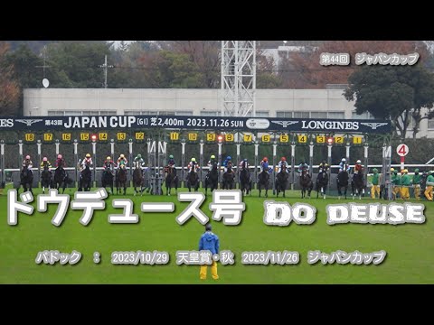 【パドック】　ドウデュース　2023　天皇賞秋/ジャパンC