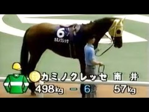 第33回　宝塚記念（ＧⅠ）パドック　1992.6.14　　出走馬：メジロパーマー、カミノクレッセ、ミスタースペイン、オースミロッチ、ダイタクヘリオス、バンブージャンボ、ホワイトアロー、ダイユウサク他