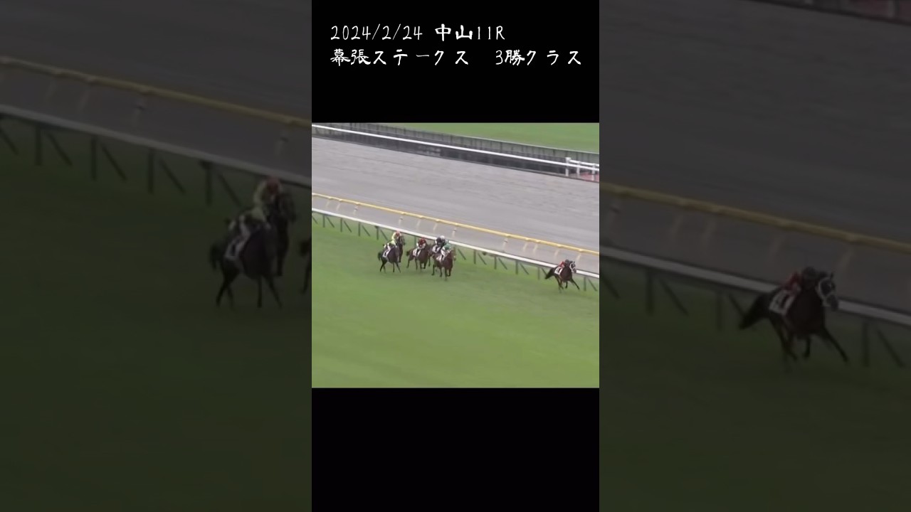 幕張ステークス　もちおの当たらない予想　#幕張ステークス #競馬 #競馬予想