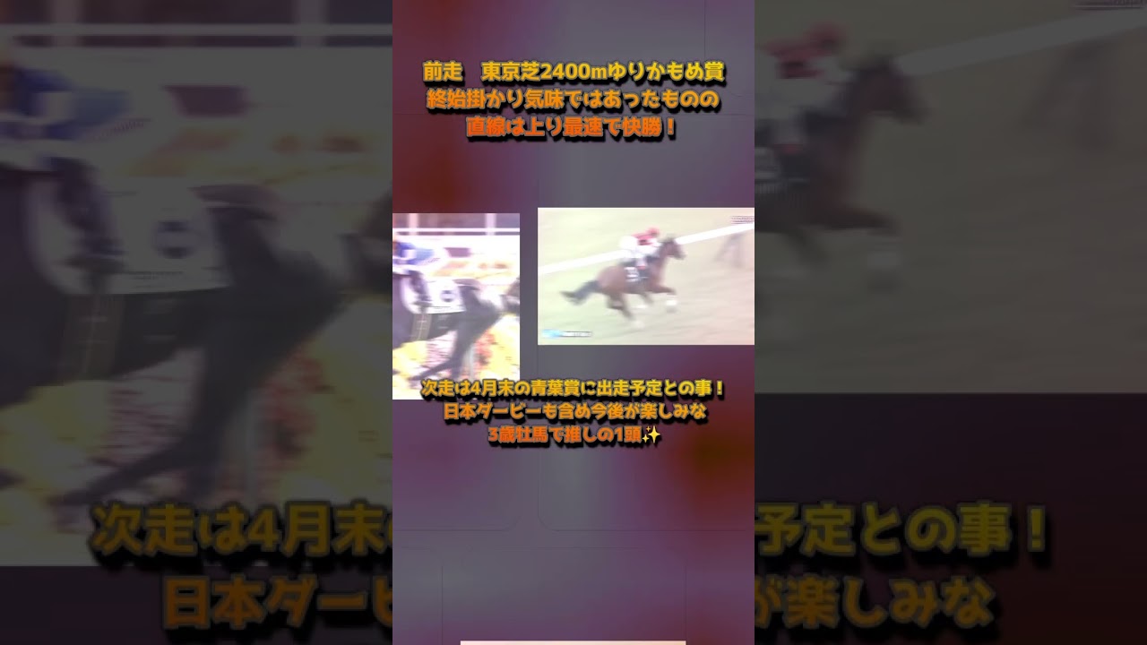✨'24年期待の産駒紹介✨キタサンブラック編！#shorts #競馬 #産駒 #スポーツ #fyp #おすすめ #キタサン