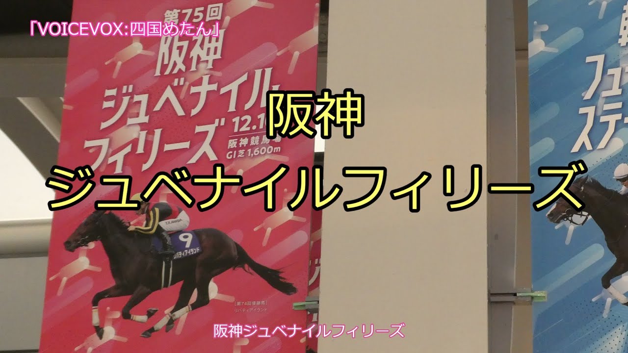2023年 阪神ジュベナイルフィリーズ 20231210 社台の力