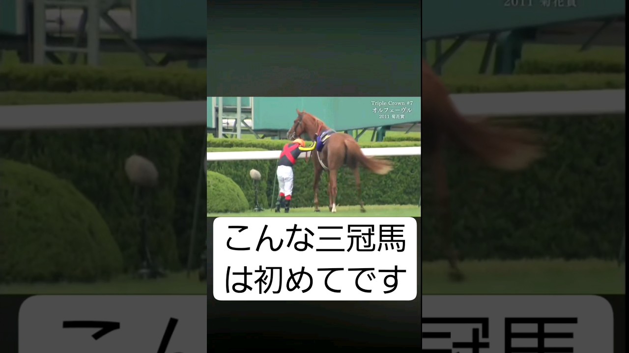 2011年第72回菊花賞　オルフェーヴル三冠達成