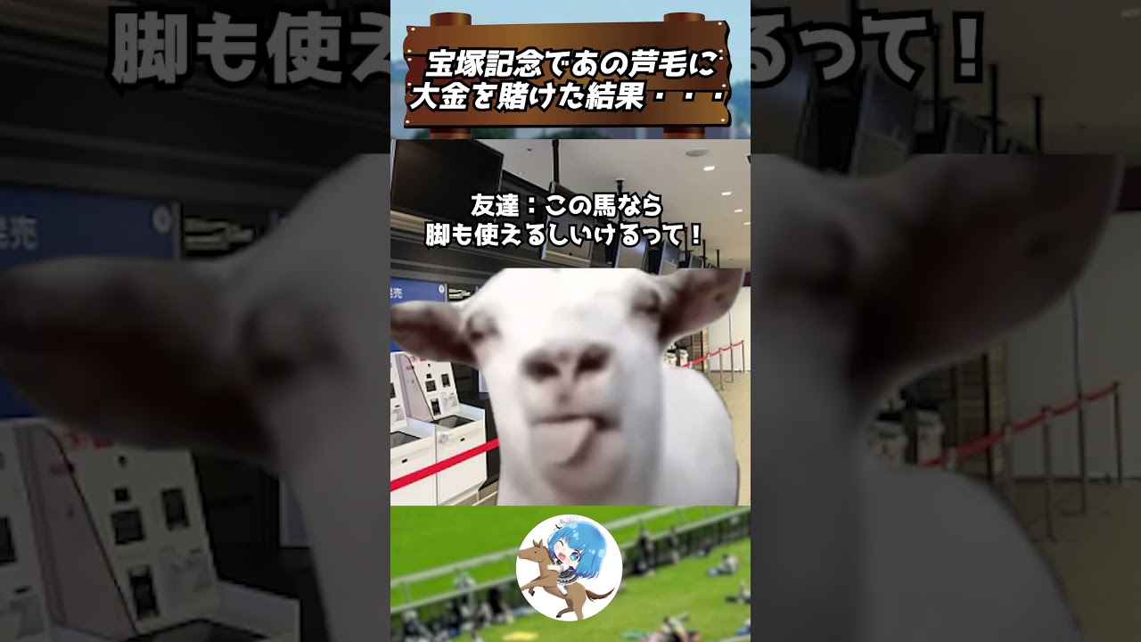 【 #競馬 】宝塚記念であの芦毛に大金をかけた結果… #shorts #ウマ娘 #猫ミーム