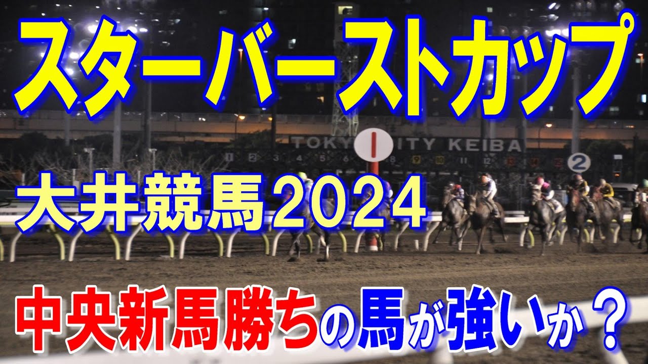 スターバーストカップ２０２４予想【大井競馬】中央デビュー勝ちの馬が移籍初戦から全開か？