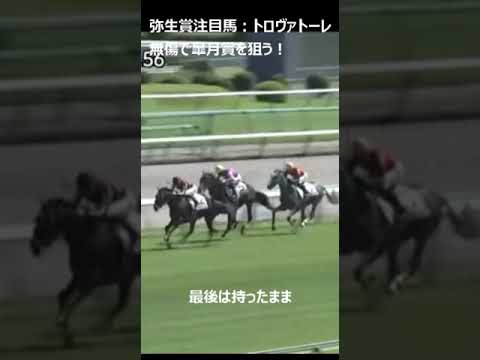 【弥生賞2024競馬予想】トロヴァトーレ。新馬と葉牡丹賞レース。中山芝2000、2戦2勝。あなたはどう思う。 #競馬 #ハプニング #皐月賞