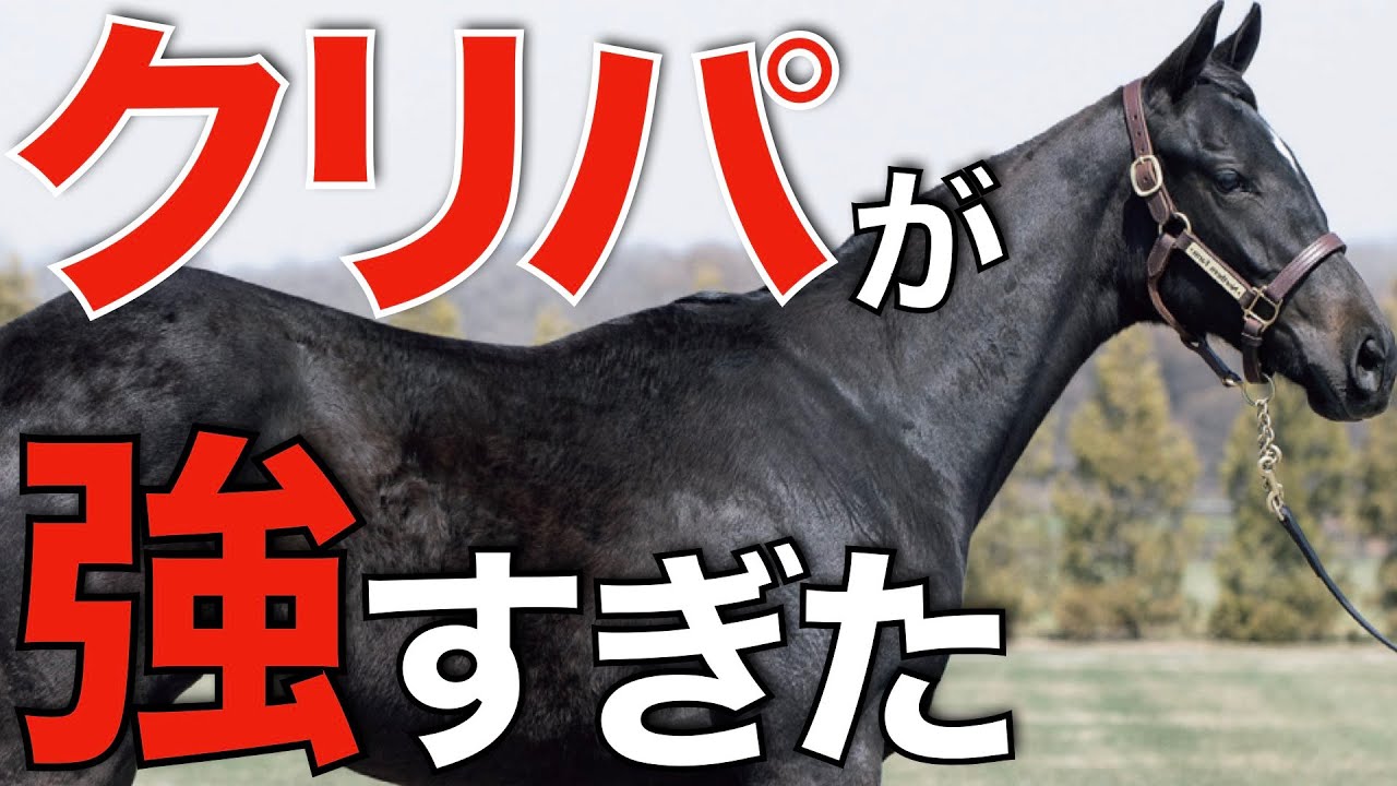 出資馬クリスマスパレードが2連勝でクラシック参戦へ！父を彷彿とさせる勝ちっぷり。