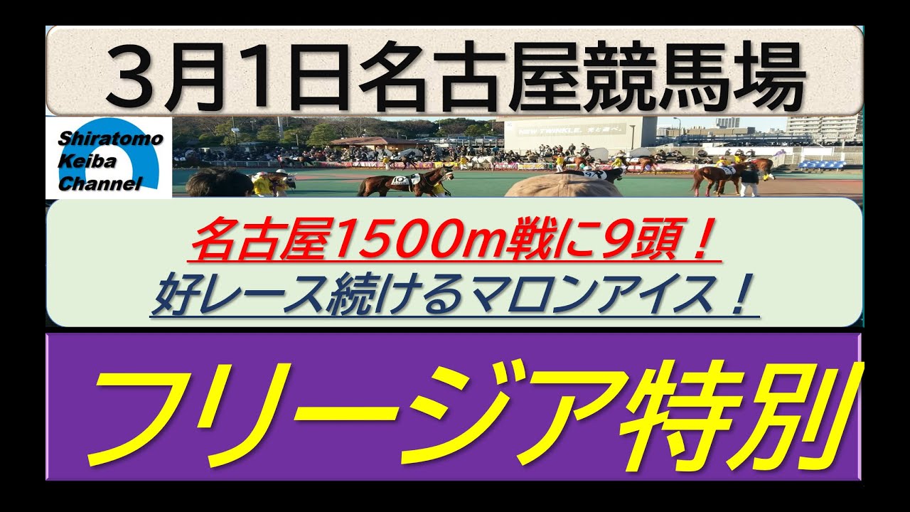 【競馬予想】フリージア特別～２０２４年３月１日 名古屋競馬場 ：３－２