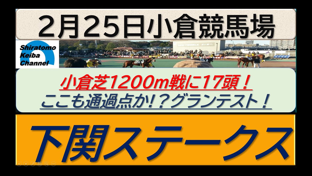 【競馬予想】下関ステークス！～２０２４年２月２５日 小倉競馬場 ：２－５５