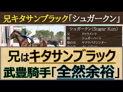 【名馬の弟】キタサンブラック弟「シュガークン」武豊騎手も納得の内容で２戦目で圧勝勝ち上がり☆