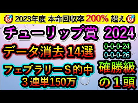チューリップ賞2024 【消去データ14選】 確勝級の1頭見つけました