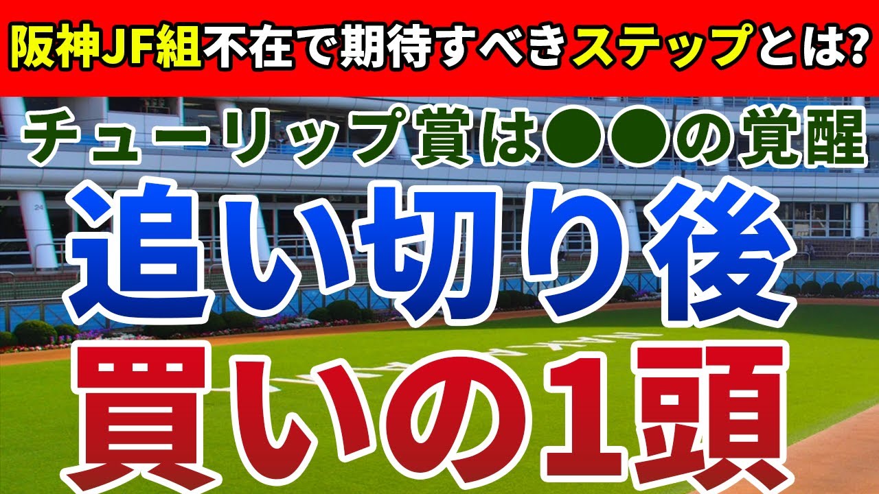 チューリップ賞2024 追い切り後【買いの1頭】公開！大混戦でも能力上位と判断できる２頭とは？自信の人気薄で2年連続・高額的中を狙う！
