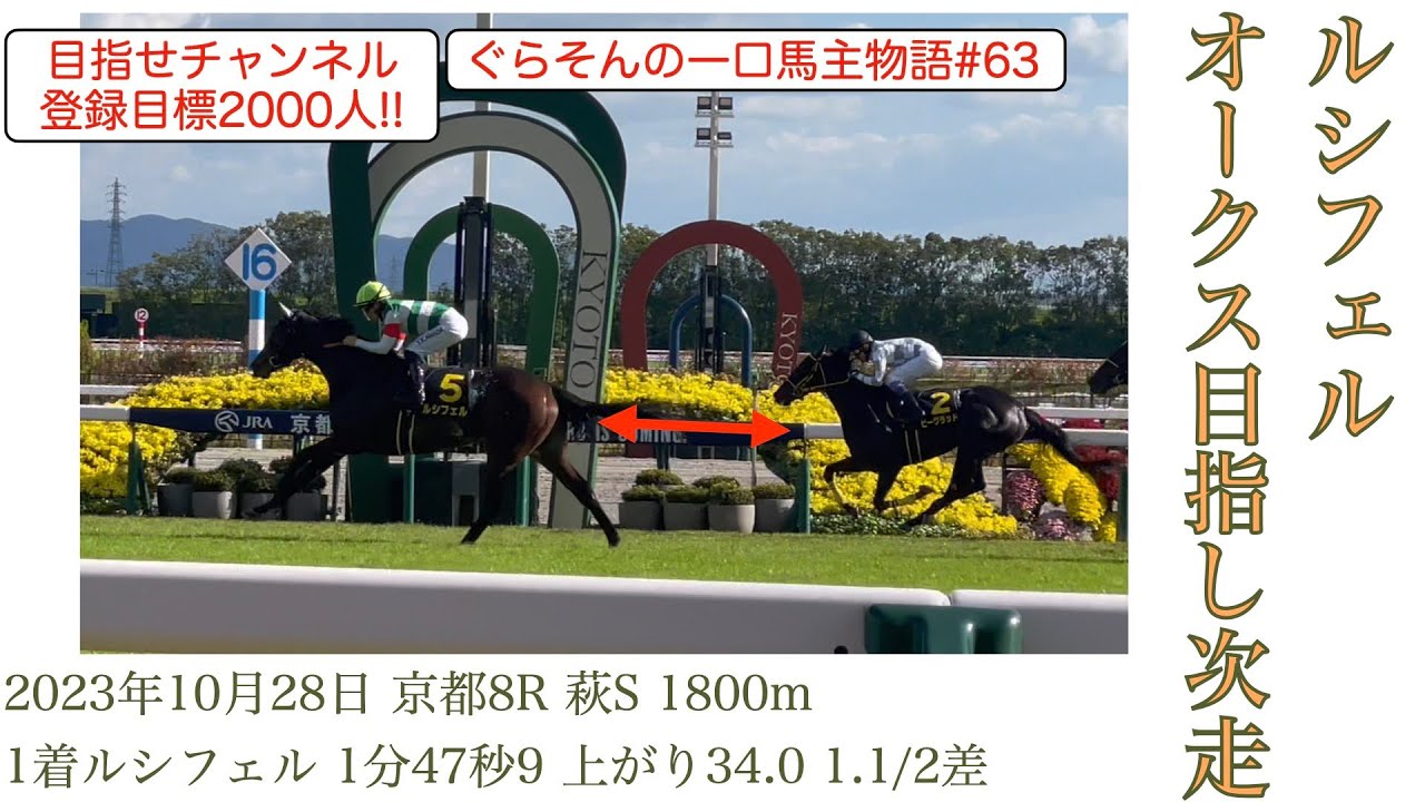 【ルシフェル次走情報】萩S勝ちのルシフェルの次走はオークス目指し毎日杯！　ぐらそんの一口馬主物語#63【キャロットクラブ】