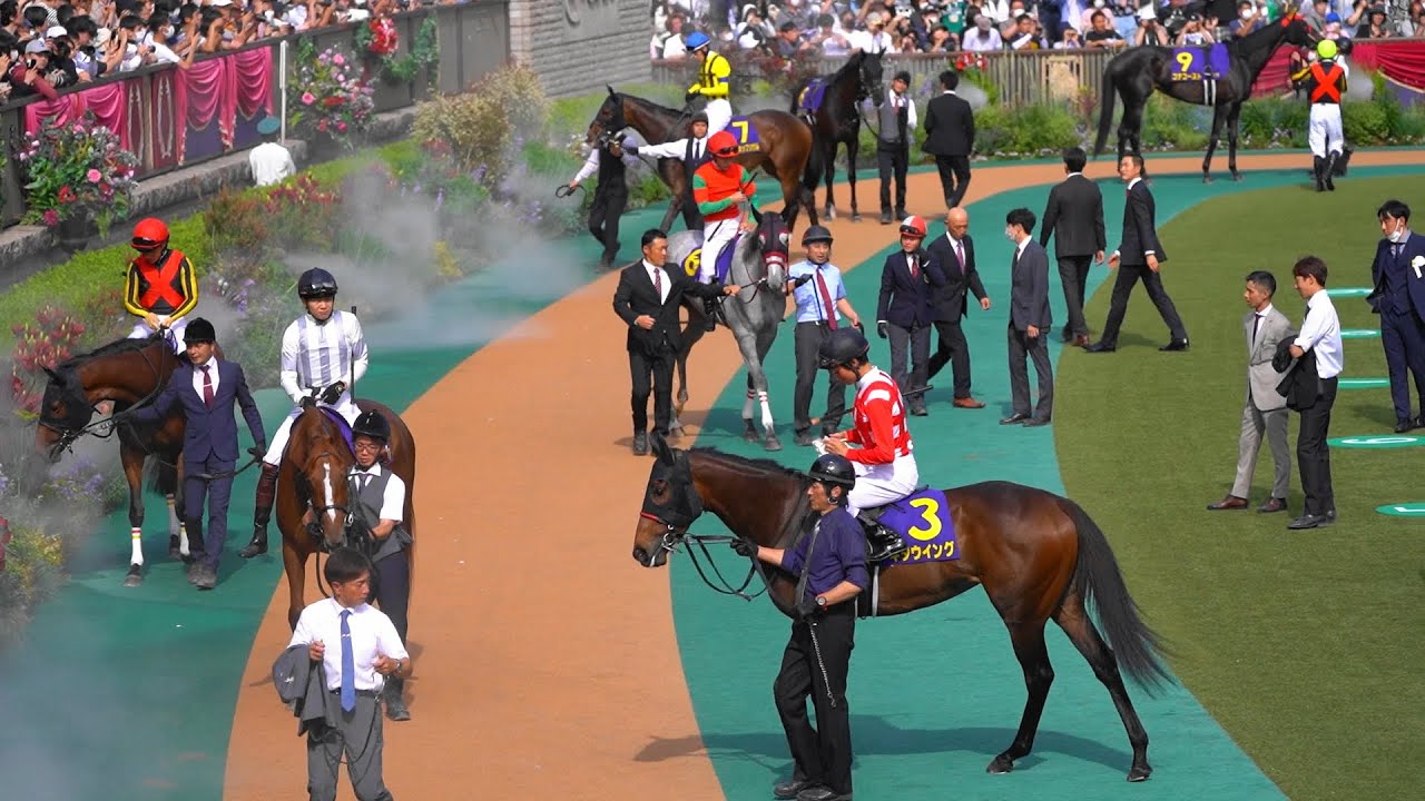 可愛い！パドックのお花を食べたいリバティアイランド。2023.5.21 東京競馬場