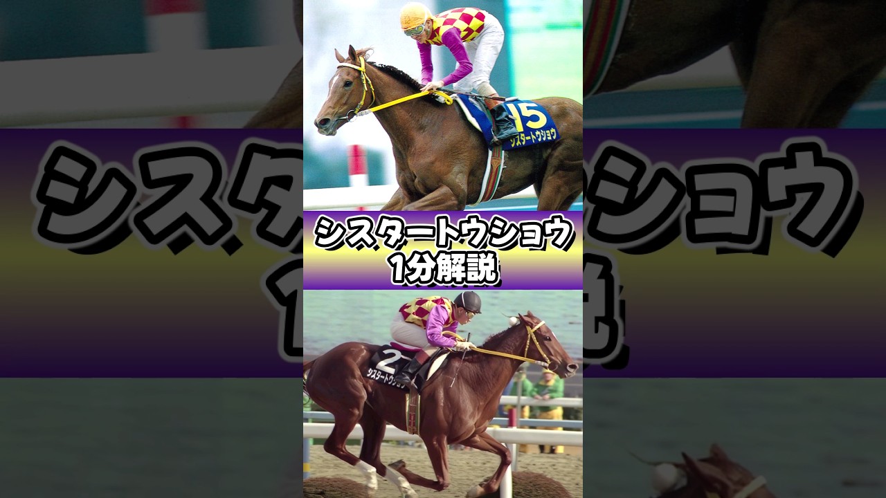 シラオキ系グットルッキングホース #シスタートウショウ #1分解説 #shorts