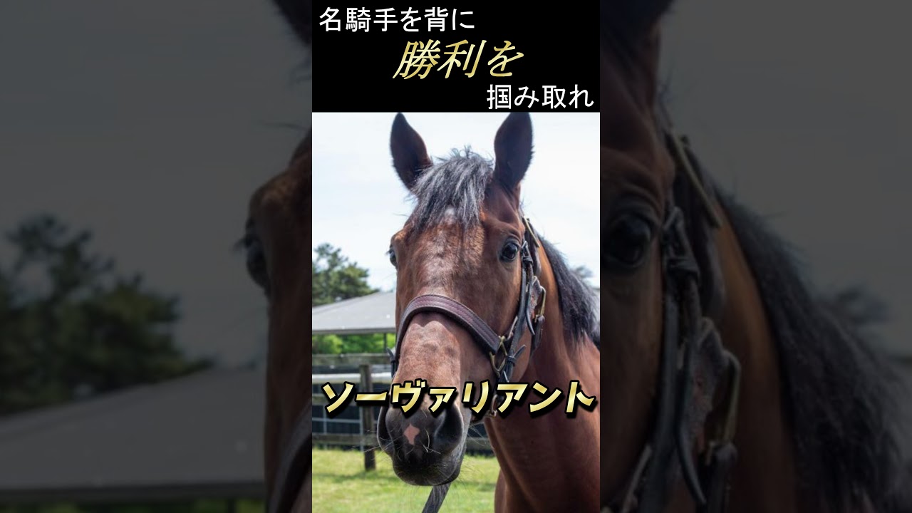 【 2024 中山記念 】注目馬１分紹介『 日曜日版 』古馬の実力を見せつける！？（ ソーヴァリアント ）