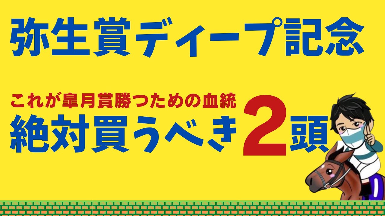 【弥生賞2024】【先週ドーブネ10人気3着🎯✨】皐月賞勝つのはこの２頭のどちらかです！！過去皐月賞馬との共通点｜世間注目、あの素質馬を買えない不安要素とは