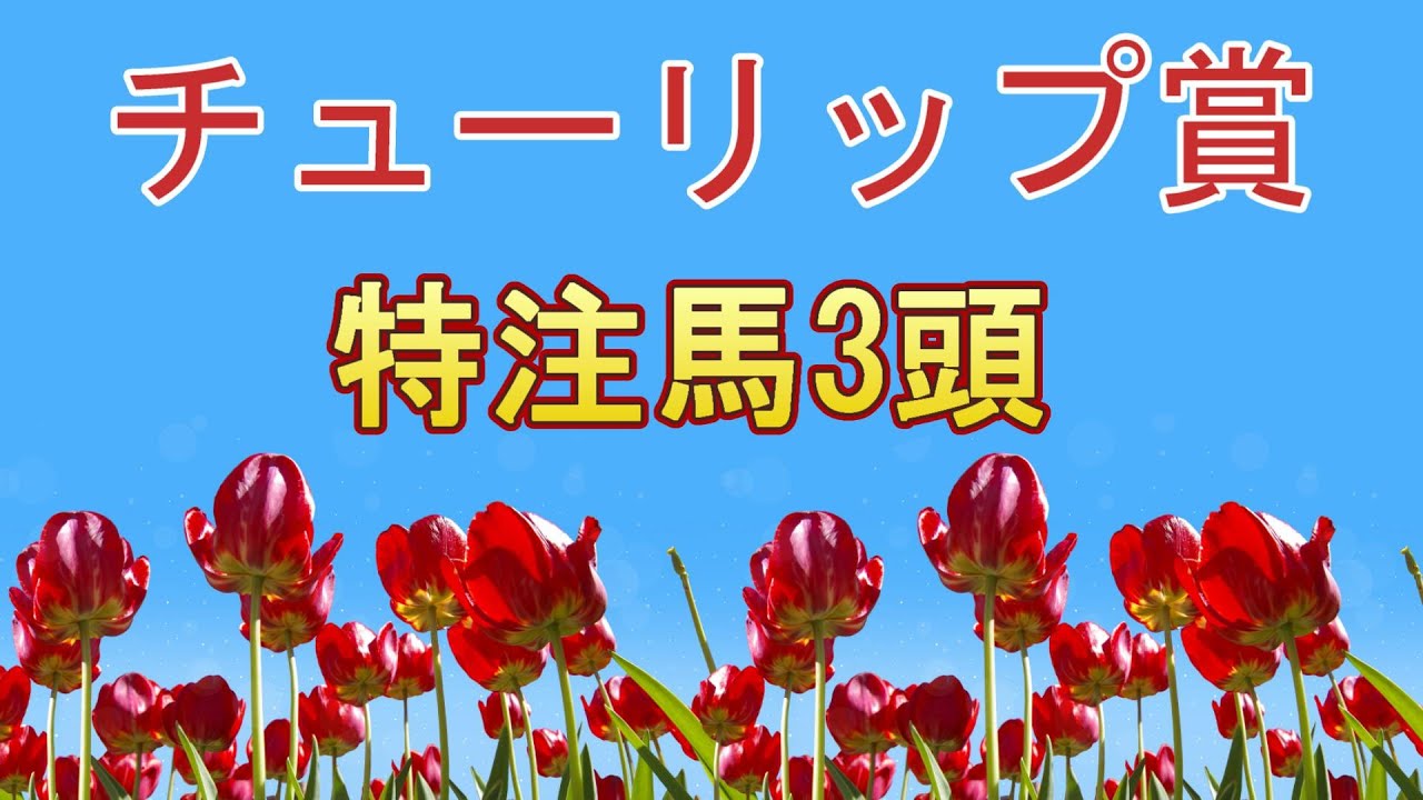 チューリップ賞 2024 特注馬