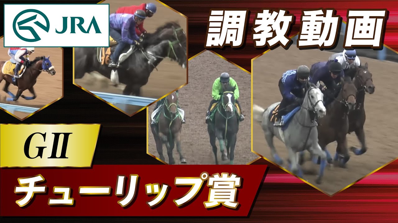 【調教動画】2024年 チューリップ賞｜JRA公式