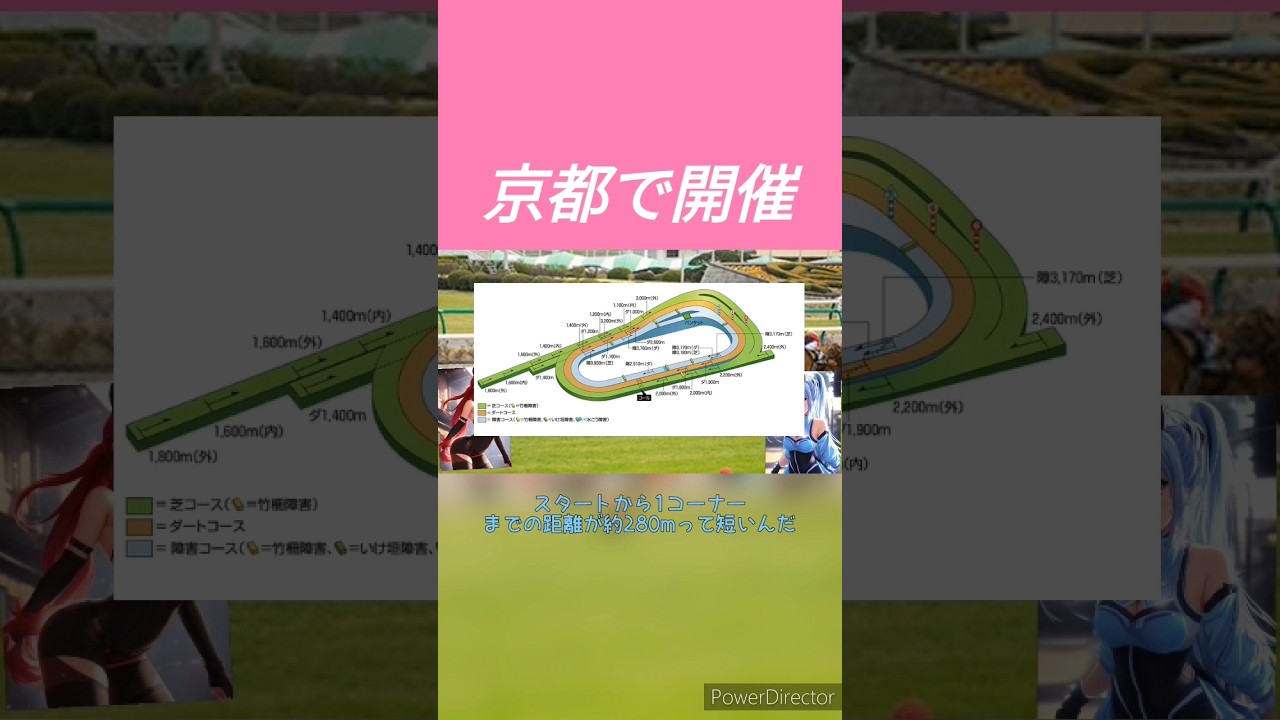東海ステークス2024は京都で開催！逃げ先行馬有利　 #競馬予想