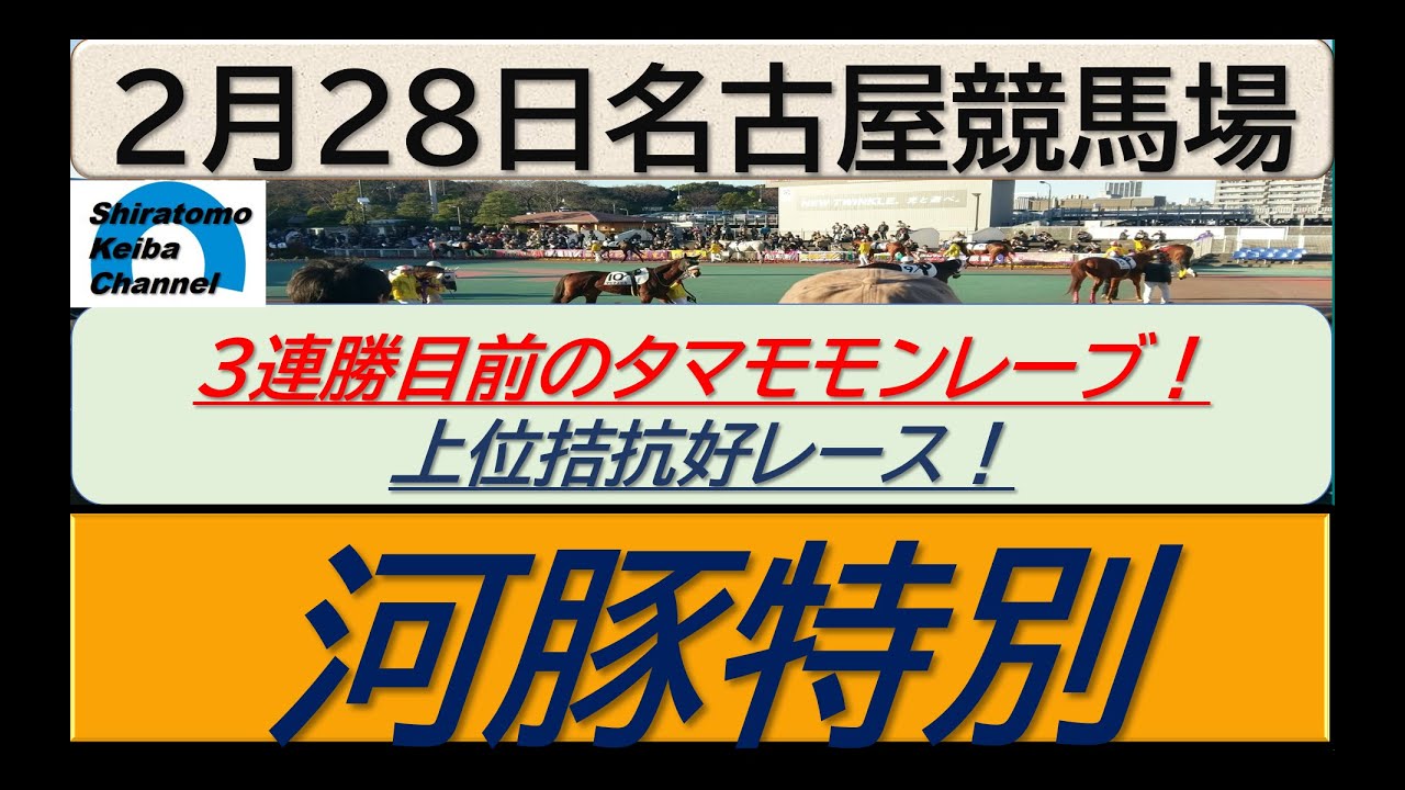 【競馬予想】河豚特別！～２０２４年２月２８日 名古屋競馬場 ：２－６３