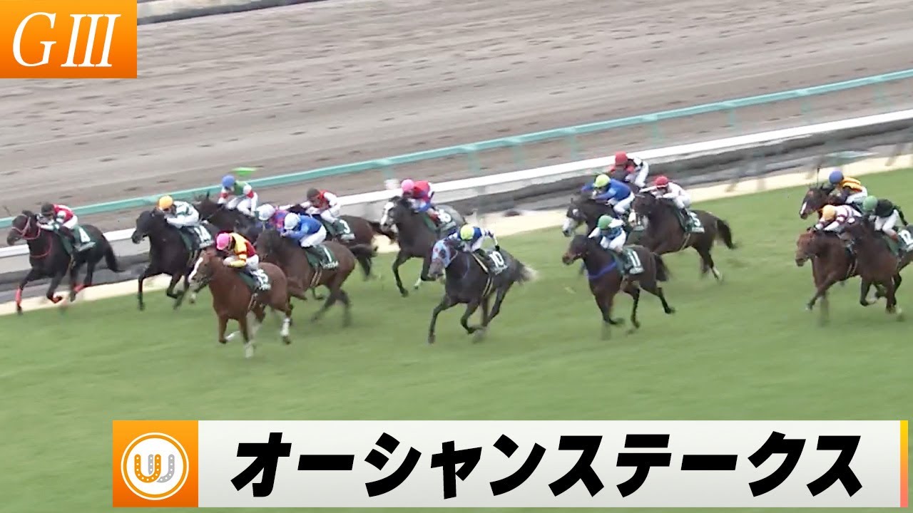 【2024】オーシャンステークス 中山競馬場11R ｜ウイニング競馬 2024年3月2日（土）