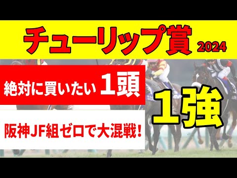 【チューリップ賞2024予想】＜消去データ６条件＞今年も阪神JF組ゼロで混戦模様。タガノエルピーダ、ガルサブランカは６つの条件をクリアできた!?